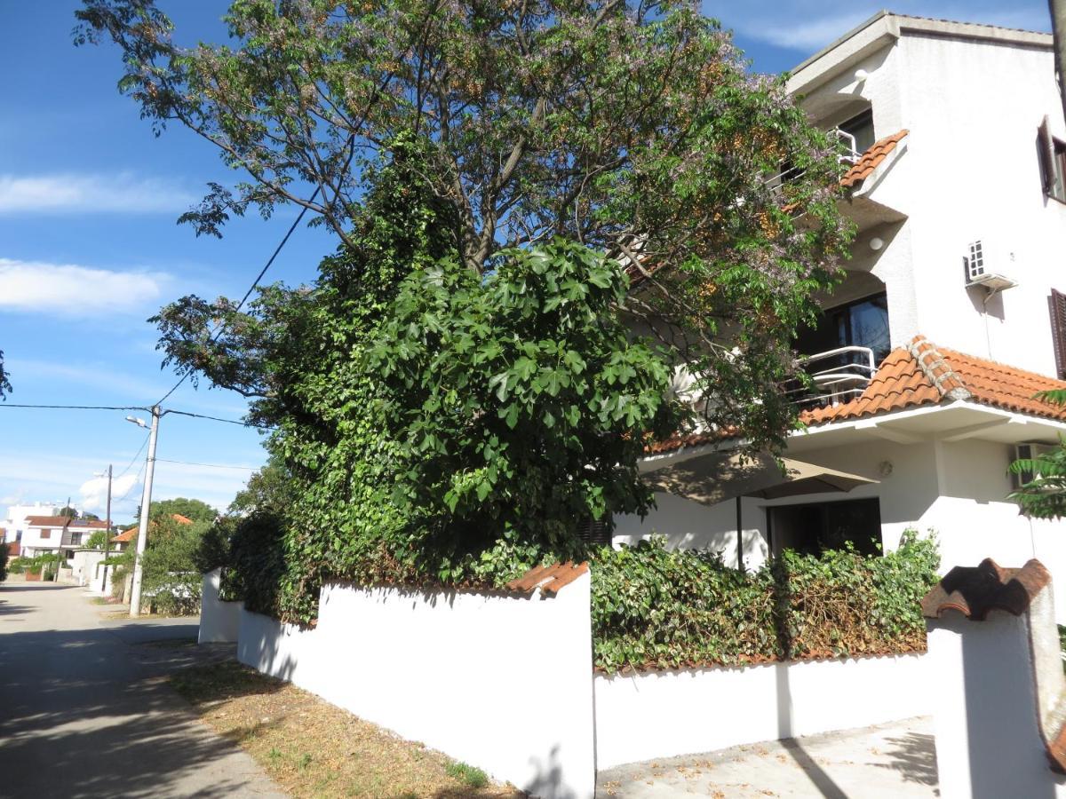 Apartments Amfa Biograd Na Moru Exteriör bild